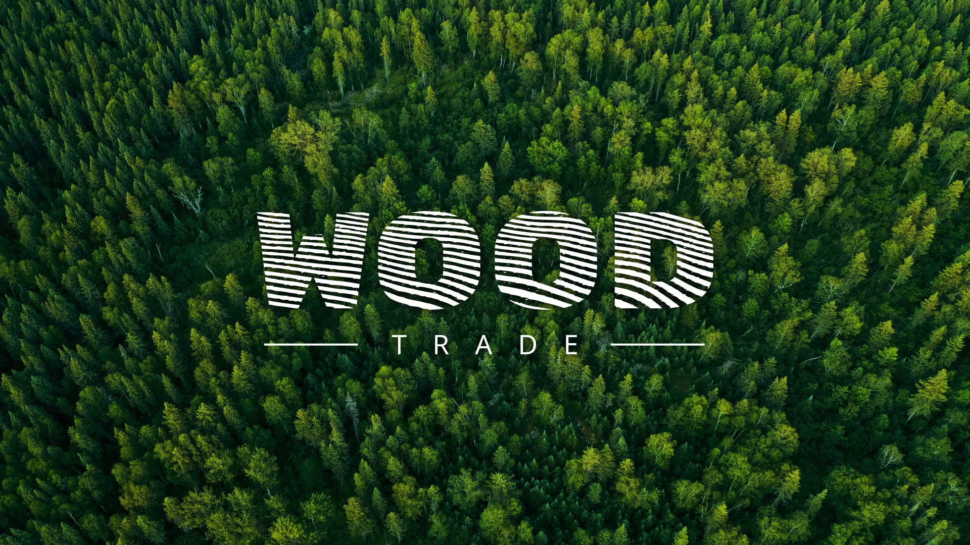 Разработка интернет-магазина компании «Wood Trade» в Калязине